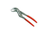 Cleste Rogrip